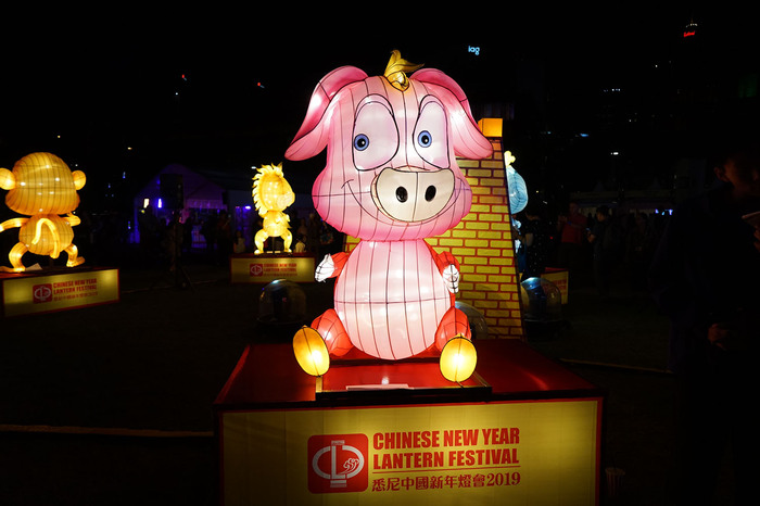 图片默认标题_fororder_悉尼新年灯会情人港开幕，小猪灯引人注目