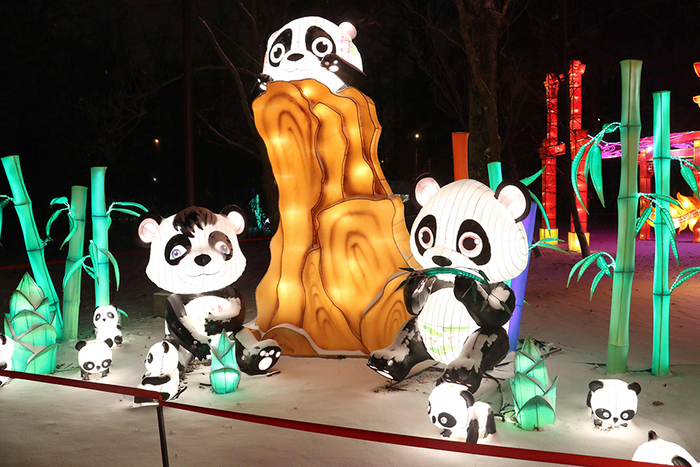 图片默认标题_fororder_彩灯节上展出的“熊猫”彩灯.JPG