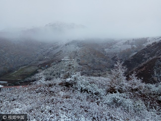 Lingshan Mountain, the highest mountain (2,300-plus meters) in Beijing, receives snowfall starting at 5 a.m. Tuesday, October 10, 2017. [Photo: VCG]
