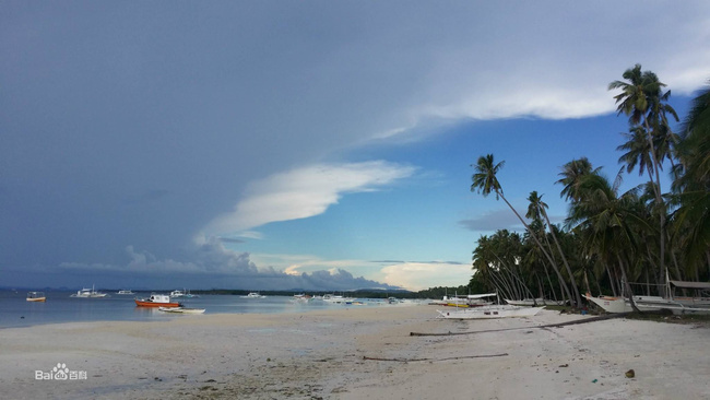 The Bohol Island is one of the most popular destinations in the Philippines. [Photo: baidu.com]