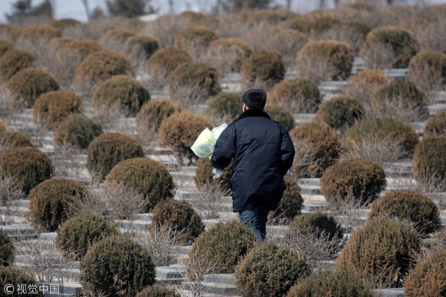 A man holding flowers at a tree-burial cemetery in Shenyang, capital of Liaoning Province, March 25, 2010. [File Photo: VCG]
