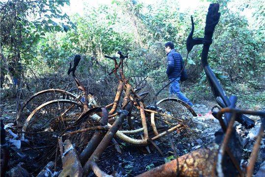 Burnt ofo shared bikes are seen in woods in Chengdu, Sichuan Province on December 1, 2017. [Photo: Thepaper.cn]