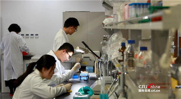 A team from Beijing Institute of Genomics, Chinese Academy of Sciences (CAS), led by Liu Jiang, work at the laboratory. [Photo: cri.cn]