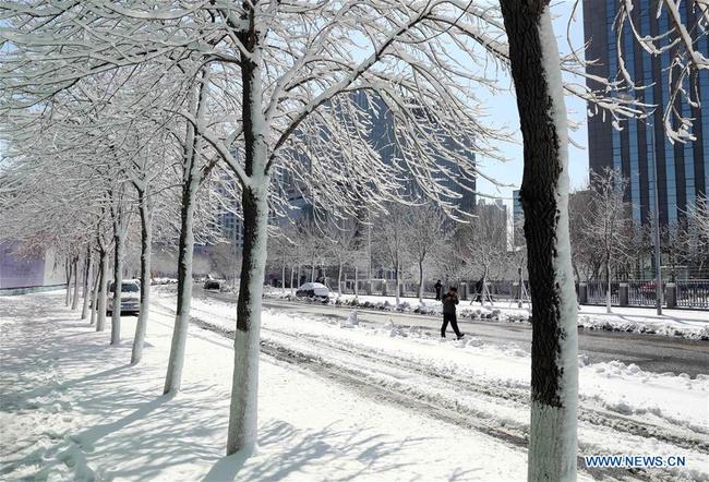 A pedestrian walks on a snow-covered road in Shenyang, northeast China's Liaoning Province, March 15, 2018. [Photo: Xinhua]