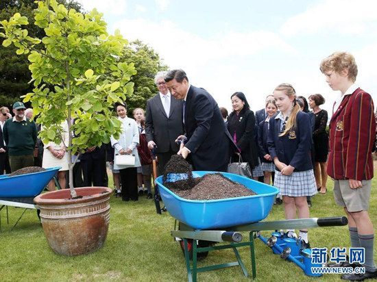 President Xi Jinping plants a tree with primary school students in Launceston, Tasmania in Australia on November 18, 2014. [Photo: Xinhua]