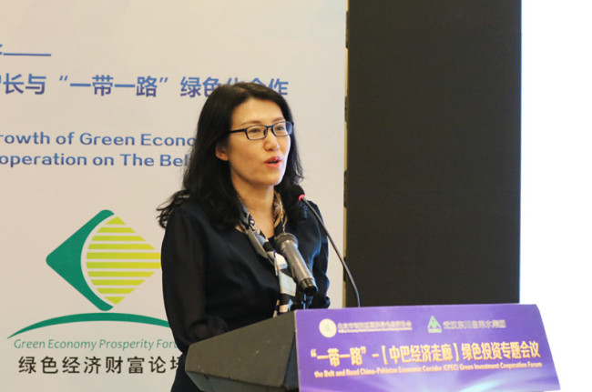 Zhang Wei, Deputy Director of the Chinese Academy of International Trade and Economic Cooperation, delivers a speech at The "China-Pakistan Economic Corridor" Green Investment and Cooperation Conference in Beijing on Friday, June 1. [Photo: China Plus/Sang Yarong]