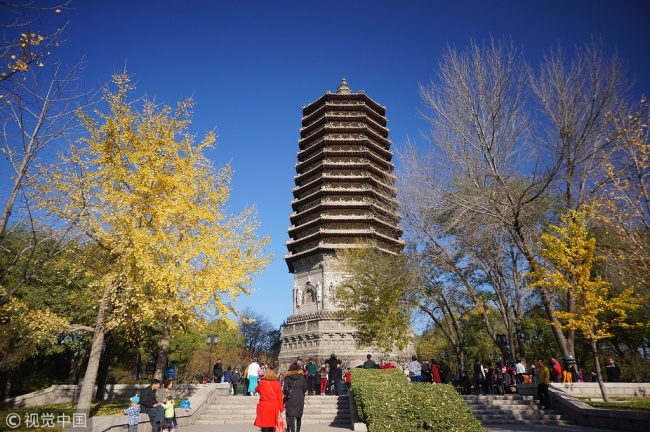 People enjoy the good weather in Beijing. [File photo: VCG]