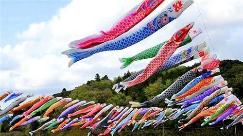Koinobori flags in Japan. [File photo: Baidu]