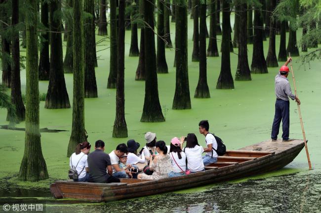 在水上森林中泛舟 Rowing through China's forest above water
