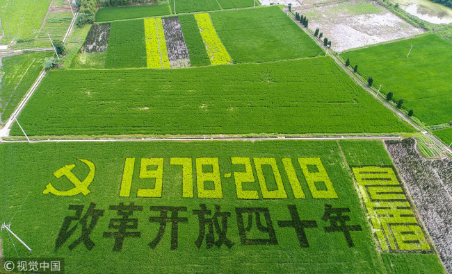 The year of 2018 marks the 40th anniversary of China’s reform and opening up since 1978. To celebrate this special year, a rice paddy has been grown by different types of rice in the Yuhang District in Hangzhou, capital city of Zhejiang province. The bird’s eye view of this special deigned paddy shows “1978-2018, 40 years of reform and opening up”. [Photo: from VCG, taken on July 8, 2018] 