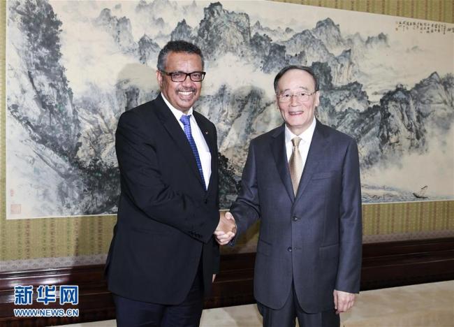 Chinese Vice President Wang Qishan meets with World Health Organization (WHO) Director-General Tedros Adhanom Ghebreyesus in Beijing Tuesday, July 17, 2018. [Photo: Xinhua]