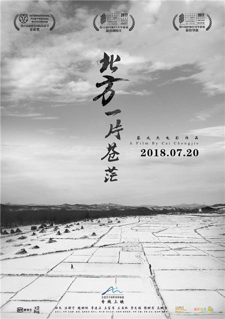 A poster for the arthouse film "Mirrors and Feathers", which will hit screens across China on Friday, July 20, 2018.[Photo provided to China Plus]