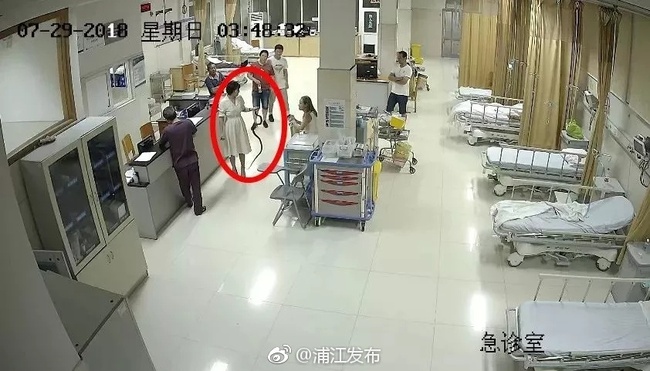 CCTV screenshot shows the woman holding the snake in her hand at a hospital in Pujiang County, Zhejiang Province, on Sunday, July 29, 2018. [Photo: Official Weibo account of Pujiang government press office]