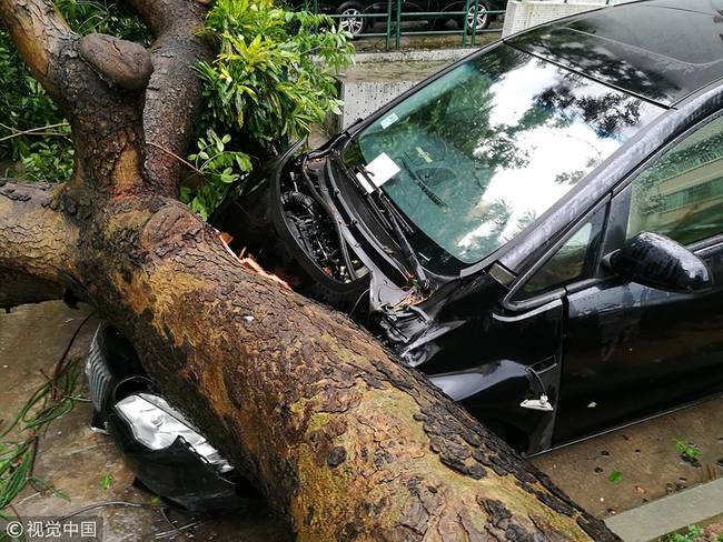 强台风“山竹”横扫广东 Super typhoon Mangkhut wreaks havoc in Guangdong