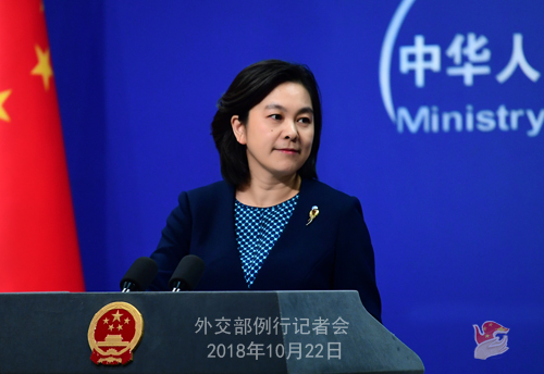 Foreign Ministry spokesperson Hua Chunying speaks at a routine press briefing on October 22, 2018. [Photo: fmprc.gov.cn]