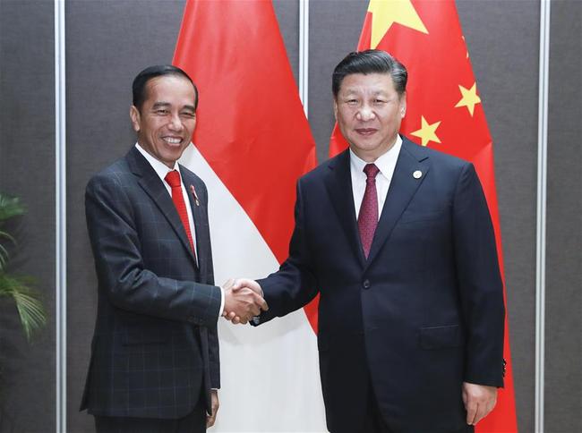 Chinese President Xi Jinping meets with Indonesian President Joko Widodo in Port Moresby, Papua New Guinea, Saturday, Nov. 17, 2018. [Photo: Xinhua]