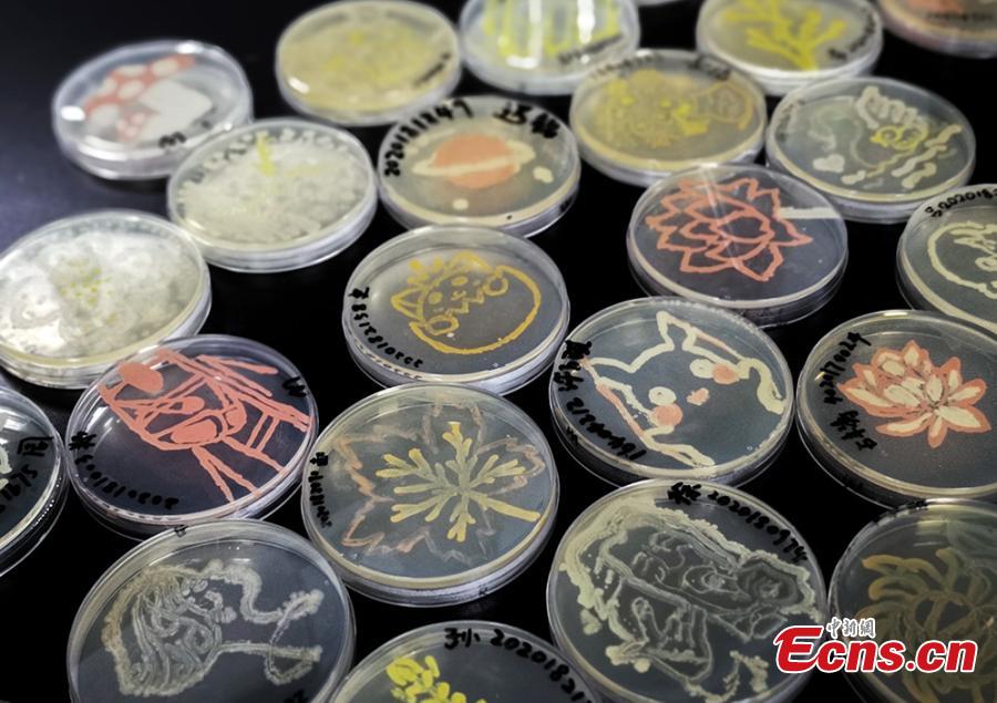 Microbial masterpieces: Students 'paint' detailed artworks by growing ...