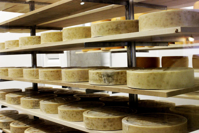 In this July 22, 2016, file photo, cheese ages on poplar wood at a farm near Pipe, Wis. Wisconsin strengthened its hold as the nation's top cheese maker by producing a record 3.37 billion pounds in 2017. [Photo:AP]