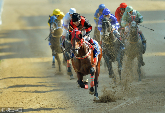 Riders compete in a horse racing competition in Wuhan, Hubei Province, in October, 2018. [File photo: VCG]