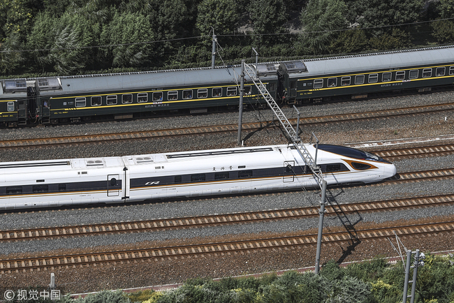 A 17-carriage CR400BF-B Fuxing bullet train, seen here on Sunday, December 30, 2018 in Beijing. [File Photo: VCG]