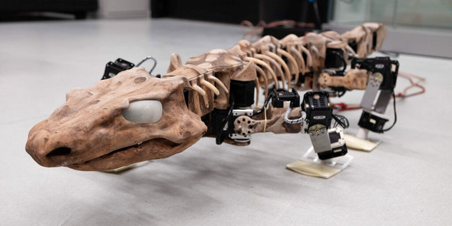 This undated photo provided by researchers in January 2019 shows the OroBOT, based on an Orobates Pabsti fossil. Scientists have used a nearly 300-million-year old skeleton and preserved ancient footprints to create the moving robot model of prehistoric life. [Photo: AP]