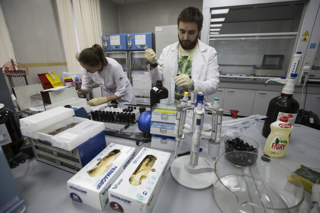 In this May 24, 2016 file photo employees Natalya Bochkaryova, left, and Ilya Podolsky work at the Russia's national drug-testing laboratory in Moscow, Russia. On Monday, July 18, 2016 WADA investigator Richard McLaren confirmed claims of state-run doping in Russia. [Photo: AP]