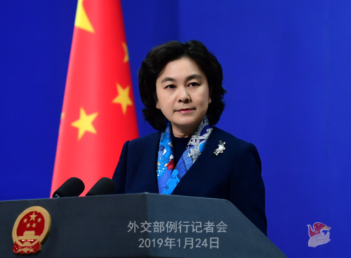 Chinese Foreign Ministry Spokesperson Hua Chunying. [File Photo: fmprc.gov.cn]