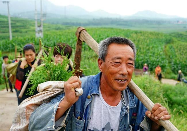 Villagers carry saplings to plant on the hill in Jiubaihu Township of Luanxian County, north China's Hebei Province, Aug. 8, 2018. [Photo: Xinhua]  