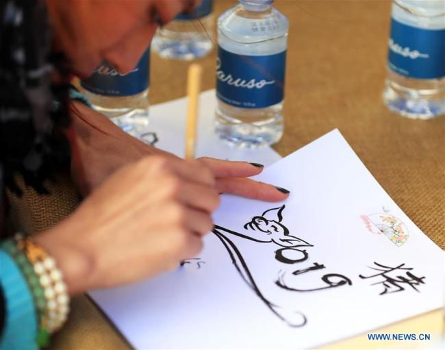 An artist draws a pig and writes in Chinese calligraphy during a celebration of Chinese Lunar New Year at the Original Farmers Market in Los Angeles, the United States, Feb. 17, 2019. [Photo: Xinhua]