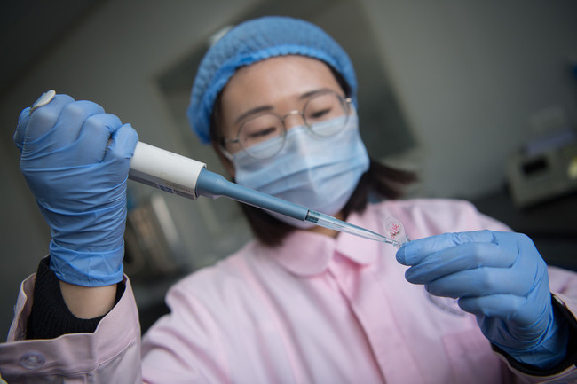 A medical worker performs genetic testing on fertilized eggs or embryos for test-tube babies in the lab of Shanxi Province Reproductive Science Institute in Taiyuan, Shanxi Province on November 29, 2018.  [Photo: IC]