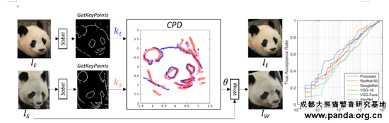  Facial recognition analysis for giant pandas. [Photo: panda.org.cn]