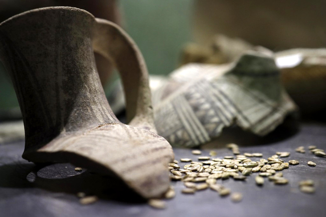 This picture taken on May 22, 2019 shows ancient amphoras showcased during a press conference in Jerusalem, where Israeli researchers announced that they had managed to produce beer made with a yeast that descended from one some 3,000 years old, similar to that produced in the time of the Pharaohs. [Photo: AFP/Thomas Coex]