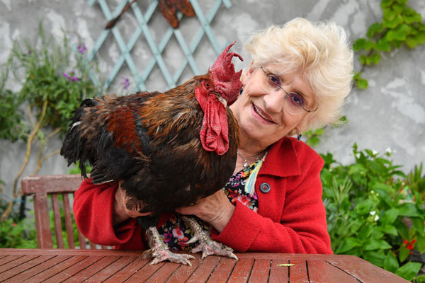 Corinne Fesseau poses with her rooster "Maurice" in her garden at Saint-Pierre-d'Oleron in La Rochelle, western France, on June 5, 2019.[AFP]