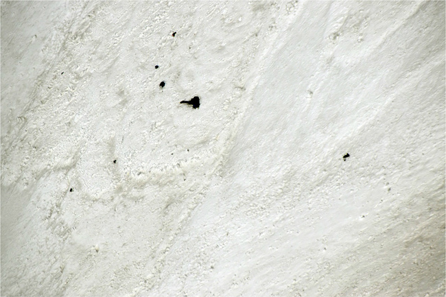 This handout photo released by the Indo-Tibetan Border Police on June 3, 2019, shows an aerial view of equipment and bodies partially buried in snow taken from a helicopter near the unclimbed peak where the 8 missing mountaineers were reported heading towards Nanda Devi East in the northern Indian state of Uttarakhand in India. A helicopter searching for eight climbers missing on India's second-highest peak spotted five bodies on June 3, officials said. [Photo: AFP/Indo Tibetan Border Police]