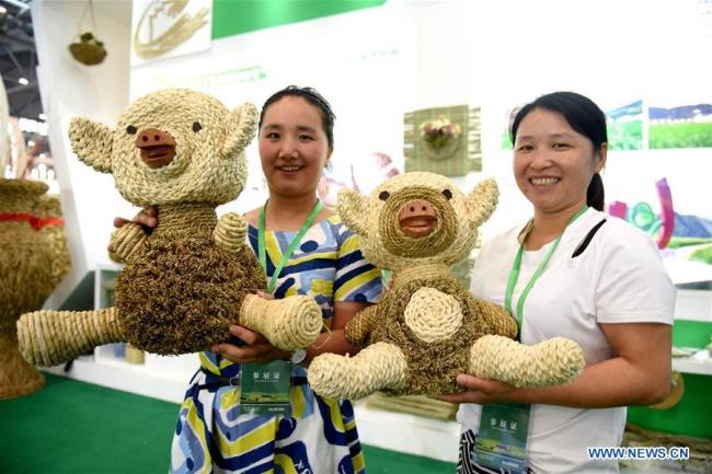 Exhibitors display toys(玩具 wánjù) made by wheat straw(秸秆 jiēgǎn) at an expo in Hefei, capital of east China's Anhui Province, June 17, 2019. [Photo: Xinhua]