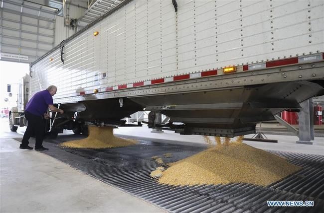 A driver unloads corn from a truck at an ethanol plant of Elite Octane, LLC. in Atlantic, Iowa, the United States, June 18, 2019. [Photo: Xinhua]<br>