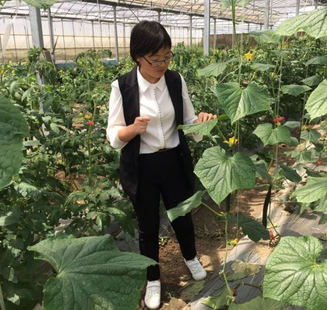 Lin Yaping, a strawberry grower, is the forerunner in terms of going back to work and live in the villages of Wangting after receiving a university education. [Photo: Chinaplus/Yin Xiuqi]
