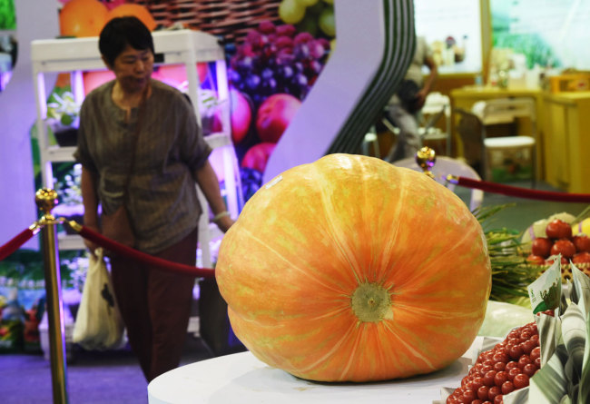 People look at a giant space pumpkin on display in Hangzhou, July 28, 2019.  [Photo: IC]