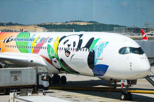 An Airbus A350 in panda livery at Istanbul Airport in Turkey on Thursday, August 1, 2019.[File Photo: Anadolu Agency via IC/Muhammed Enes Yildirim] 