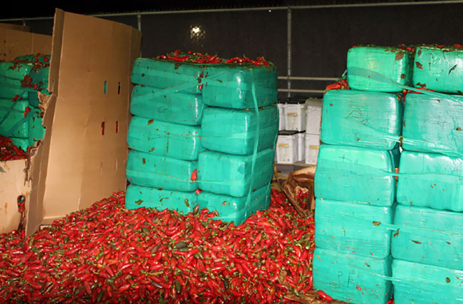 This Thursday, Aug 15, 2019, photo released by the U.S. Customs and Border Protection shows marijuana mixed in with a shipment of jalapeno peppers seized by CBP officers in San Diego's Otay Mesa, Calif. Officials say they seized $2.3 million worth of marijuana at the Southern California port. [Photo: U.S. Customs and Border Protection via AP]