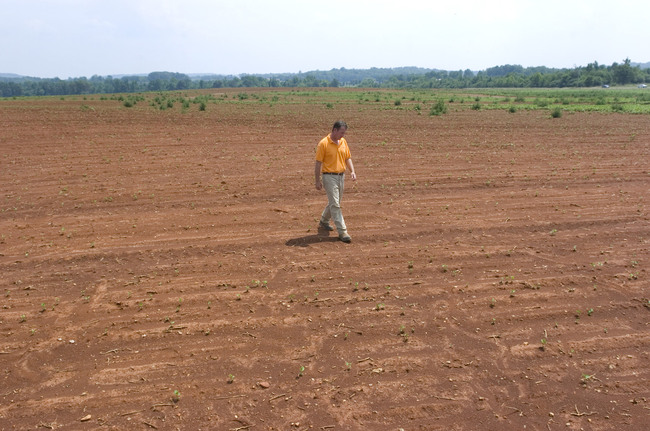 In this file photo, a farmer walks in his non-irrigated field of drought stricken soybean crop in Toney, Alabama. [Photo: IC]