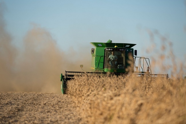 Soybeans being harvested with a mechanical combine September 23, 2013 in Iowa, United States of America. [File Photo: IC]
