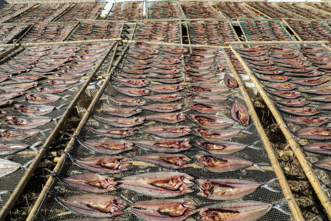 Fish were caught and processed to be dried outdoors in Taoyuan, China on October 15, 2019. [Photo: VCG]