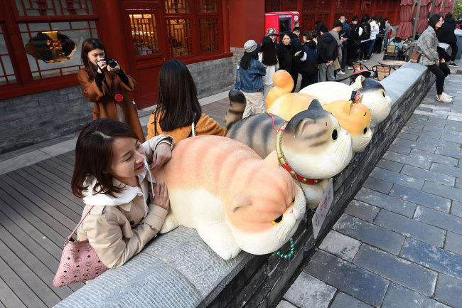 Tourists take photos with the cat statues near the Palace Museum Online Shopping Gallery in Beijing on Monday, October 28, 2019.  [Photo: VCG]