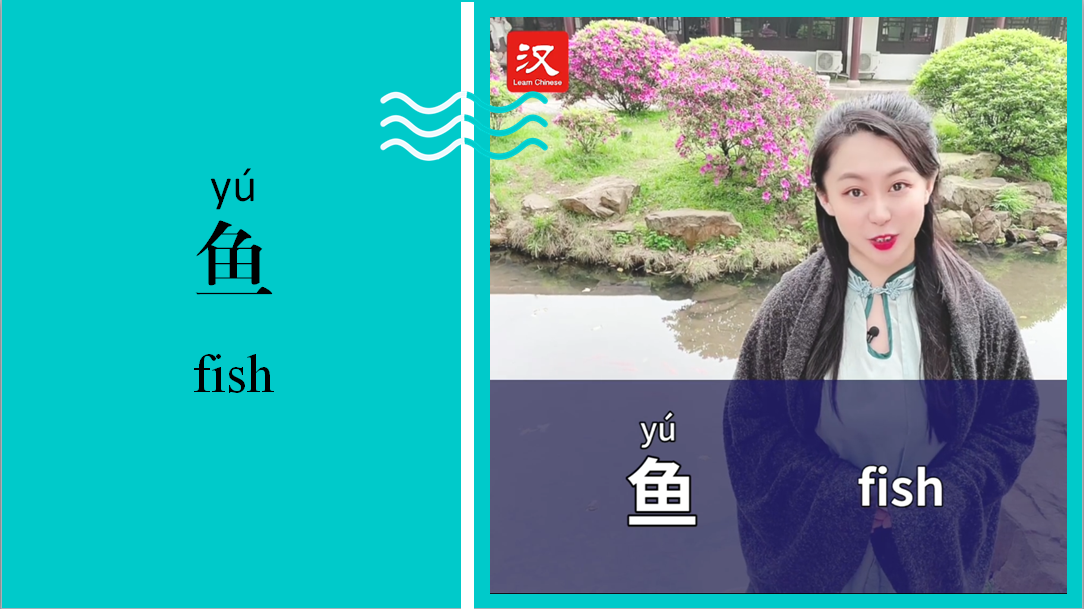 鱼 Fish