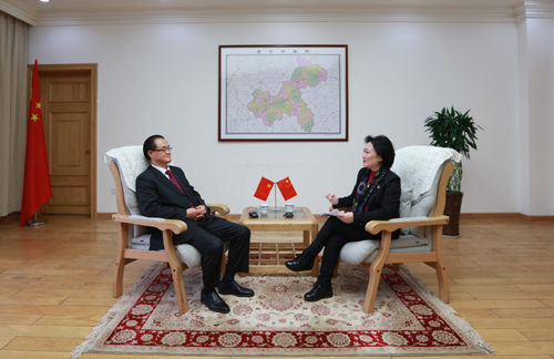 带头开放 带动开放 服务全局 发展自己 ——专访重庆市副市长刘桂平