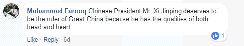 外媒和外国网友热评习近平当选国家主席：强大的领导核心利于中国经济长远发展