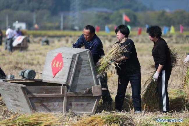 3, Vesničané se 15. listopadu 2020 zapojili do mlácení rýže během soutěže dovedností o podzimní sklizeň ve vesnici Chunhua (Čchun-chua), která sousedí s vesnicí Fuchun (Fu-čchun) v okrese Fuyang (Fu-jang) ve městě Hangzhou (Chang-čou) v provincii Zhejiang (Če-ťiang) ve východní Číně. Soutěže se zde v neděli zúčastnilo celkem 24 skupin z každé oblasti sousedící s vesnicí Fuchun. Účastníci soutěžili v dovednostech jako je sklízení rýže, mlácení rýže, dávání rýže do pytlů a vázání slámy. (Xinhua / Xu Yu)