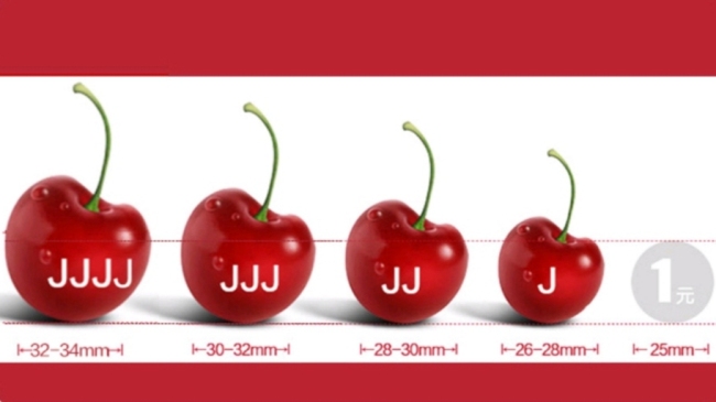 Třešně a višně jsou tříděny podle velikosti „Jumbo“. Čím více J jsou označeny, tím větší a sladší jsou a tím vyšší je cena. /Freshhema.com