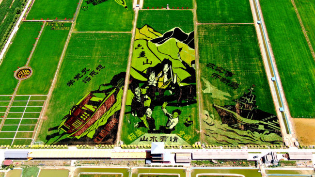 Letecký pohled na rýžová pole v okrese Helan v Huiské autonomní oblasti Ningxia. [Foto: Hai Kun / chinadaily.com.cn]